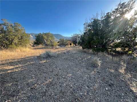 776 Silver Creek Canyon (NEAR) Road, Lucerne Valley, CA 92356