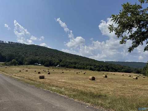 356 County Road 526, Woodville, AL 35776