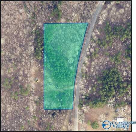 3 Acres County Road 84, Danville, AL 35619