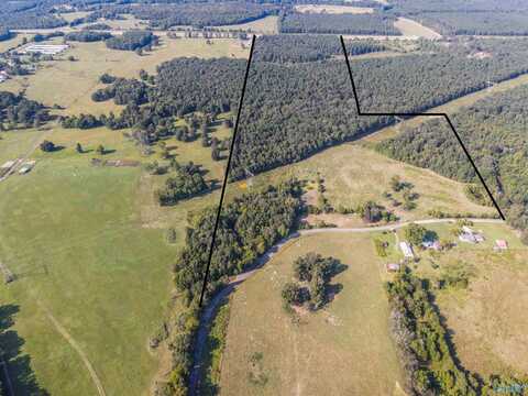 98 Acres County Road 23, Mount Hope, AL 35651