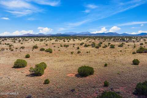 E Valencia Road, Williams, AZ 86046