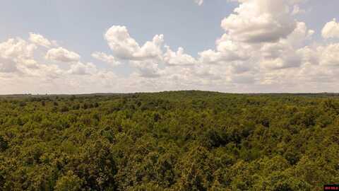 00103083001 SQUIRREL HILL, Glencoe, AR 72539