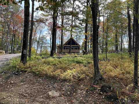 600 Forest Cabin Road, Huttonsville, WV 26273