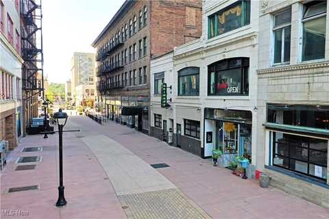 24 N Phelps Street, Youngstown, OH 44503