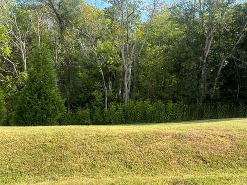 0 Lot 6 Sec 3 West Crossing Drive, Forest, VA 24551