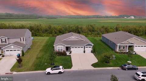 18161 South White Cedar Court, Milton, DE 19968