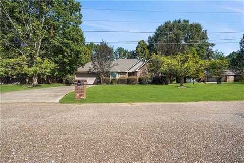 17379 OAK HOLLOW Drive, Ponchatoula, LA 70454