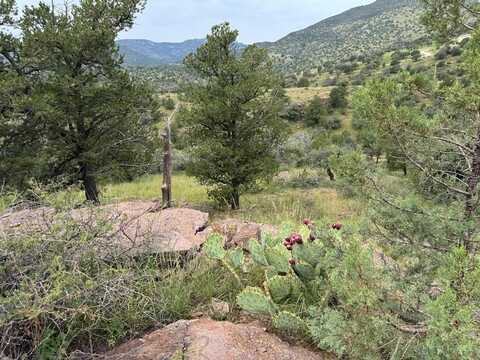 204 Yellow Knife Trail, Fort Davis, TX 79734