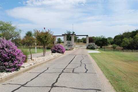 42181 Crooked Stick Drive, Whitney, TX 76692