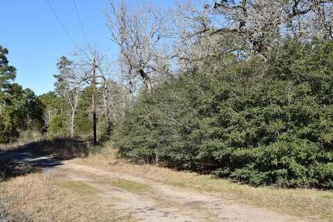 8900 FM 229, Grapeland, TX 75844