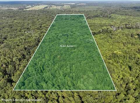 1 County Road 3224, Center, TX 75929