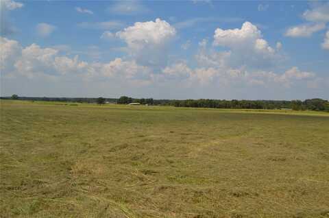 Tbd FM 607 S, Larue, TX 75770