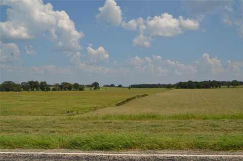 Tbd FM 607 S, Larue, TX 75770