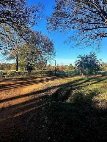 1912 County Road 4316 N, De Kalb, TX 75559