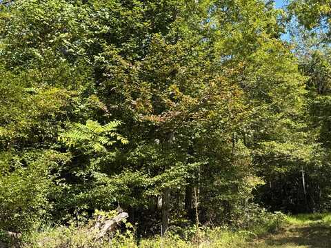 201B Chad Berry Lane, Madison, VA 22743