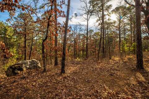 Lot 17 Phase 1 Timber Ridge Estates, Tuskahoma, OK 74574