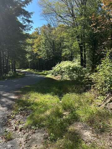 0 Hathaway Pond, Hancock, NY 13783