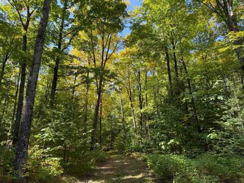 0 Near Brady Lane, Summit Lake, WI 54485