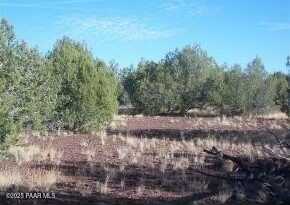 3792 N Cleo Drive, Williams, AZ 86046