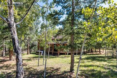 206 Pinto Drive, Woodland Park, CO 80863
