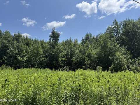 Daw Road, Pleasant Mount, PA 18453