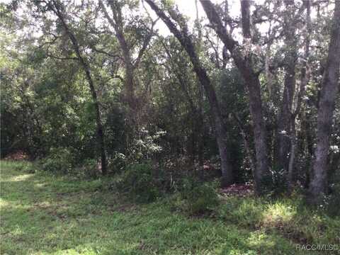 727 N Seton Avenue, Lecanto, FL 34461