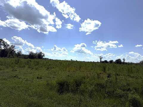 Lot 9 Hwy 71, Wewahitchka, FL 32465