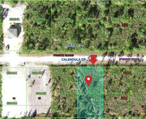 1015 Calendula Drive, Indian Lake Estates, FL 33855