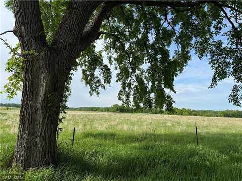Tbd - #1 Blossom Street, Ogilvie, MN 56358