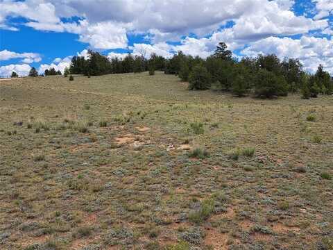 900 REMINGTON ROAD, Como, CO 80432