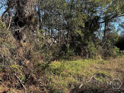 0 Rifle Avenue, Tybee Island, GA 31328