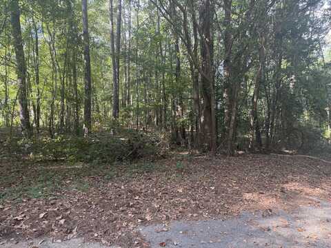 Lynnay Drive unit: B, Rembert, SC 29128
