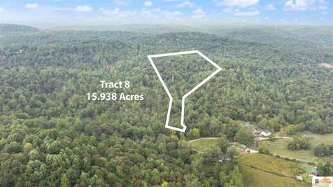Tract 8 Frenchman Knob Road, Bonnieville, KY 42713
