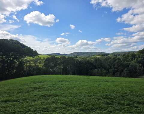 Scenic Drive, Hillsboro, WI 54634