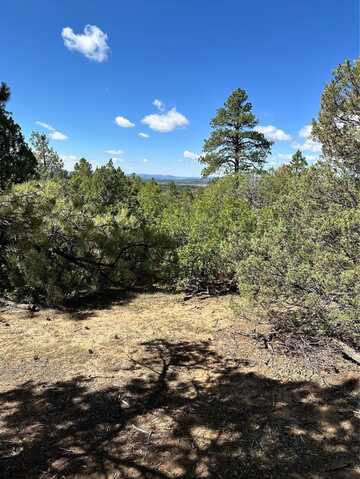 99 Private Drive 1781A, Chama, NM 87520