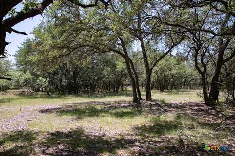 Tbd Lot 82 Shin Oak Drive, Lampasas, TX 76550