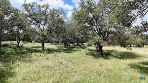 Tbd Lot 135 Shin Oak Drive, Lampasas, TX 76550