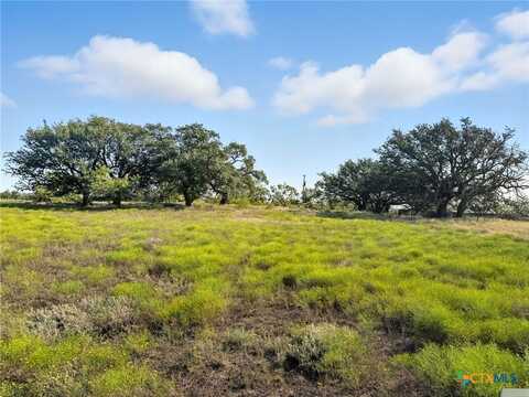 Tbd Farm Road 221, Hamilton, TX 76565