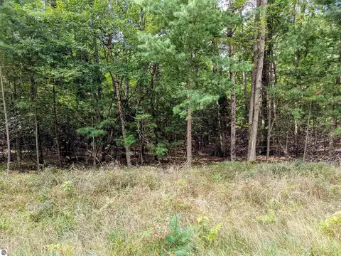 Buffalo Trail, Alger, MI 48610