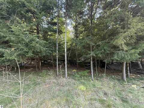 Lot 57 W Harbor Highway, Glen Arbor, MI 49636