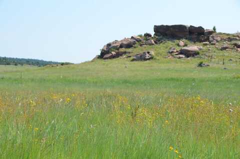 Tbd State Highway 120, Ocate, NM 87734