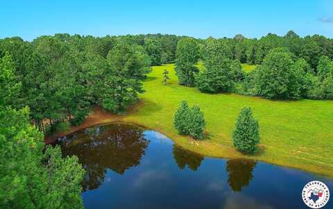 1166 County Rd. 4452, McLeod, TX 75565