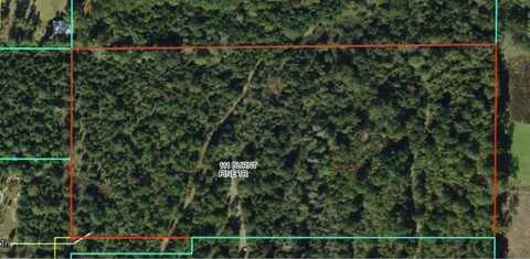 111 Burnt Pine Trail, Quincy, FL 32351