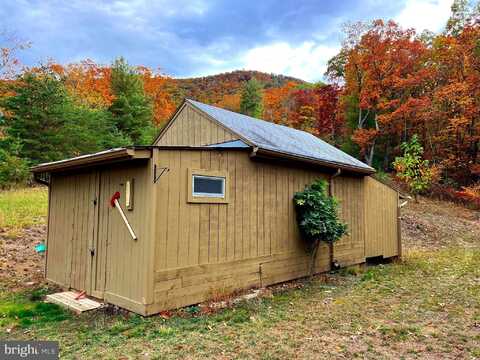 38 GRAY SQUIRREL, MOOREFIELD, WV 26836