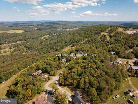 Lot 84 LOWER CAMP ROAD, MC HENRY, MD 21541