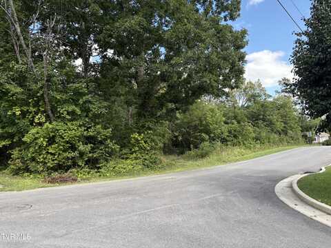 1.20 Ac Sevier Avenue, Greeneville, TN 37745