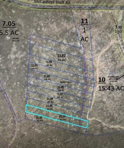 McCauleys Bluff, HOLLADAY, TN 38341