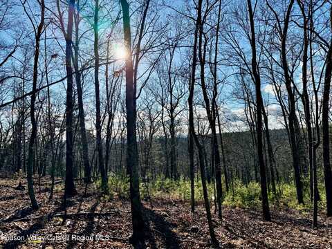 269 Dug Hill Road, Hurley, NY 12443