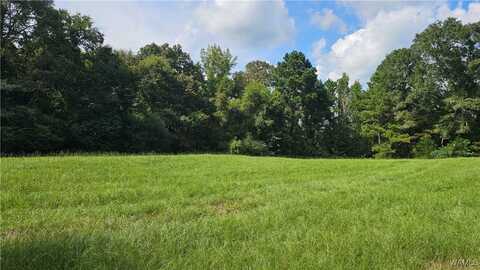 SIPSEY VALLEY Road S, Ralph, AL 35480