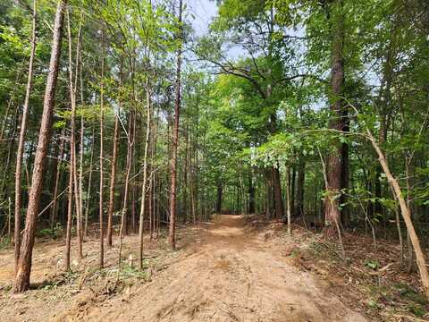 000 MANUEL HILL Rd, Cordova, AL 35550